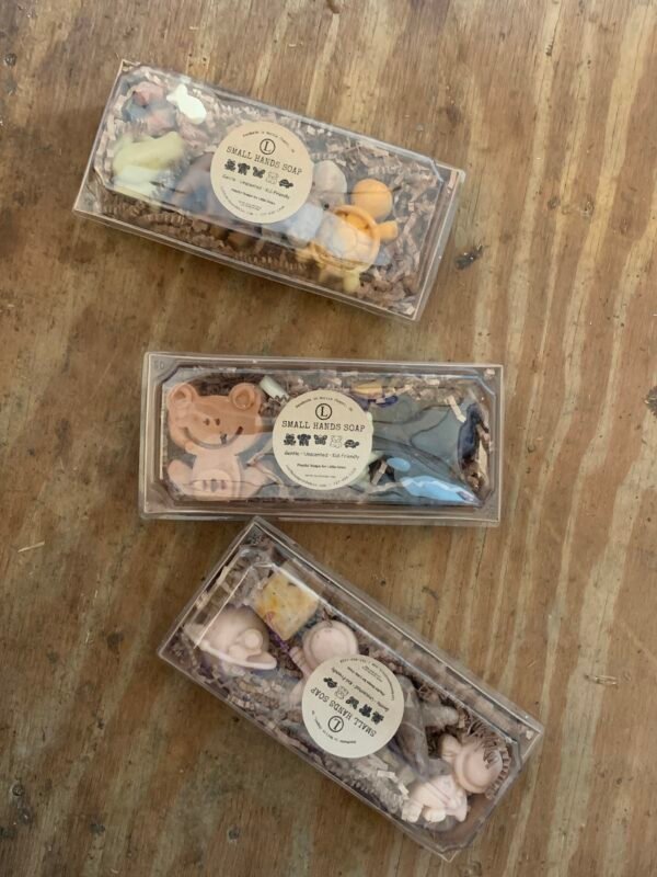 Gift Pack of Small Kid's Soaps